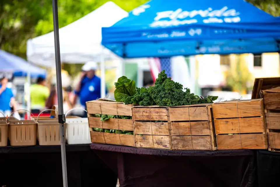 Navigating Merrydale, LA with Confidence in Merrydale
